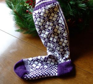 cozy toes nordic sock