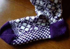 outside of cozy toes nordic sock