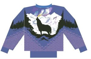 ben's northern light sweater